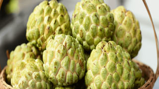 Beer Shampoo: బీర్‌ షాంపు ఎప్పుడైనా మీ జుట్టుకు అప్లై చేశారా? జిల్‌ జిల్‌ జిగేలంతే..