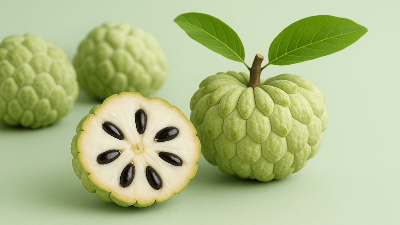 సీతాఫలం తినడం వల్ల రక్తహీనత కూడా నయమవుతుంది. ఇందులో అధిక మొత్తంలో ఐరన్‌ నిండి ఉంటుంది. ఇది బలహీనత లేదా రక్తహీనతతో బాధపడేవారికి ఉపశమనం కలిగిస్తుంది. ఇందులో ఫైబర్ పుష్కలంగా ఉంటుంది. ఇది జీర్ణవ్యవస్థను ఆరోగ్యంగా ఉంచుతుంది. గ్యాస్, ఆమ్లత్వం, అజీర్ణం నుండి ఉపశమనాన్ని అందిస్తుంది. మలబద్ధకం, విరేచనాలతో బాధపడేవారికి ఇది ఒక దివ్యౌషధంలా పనిచేస్తుందని నిపుణులు చెబుతున్నారు. 