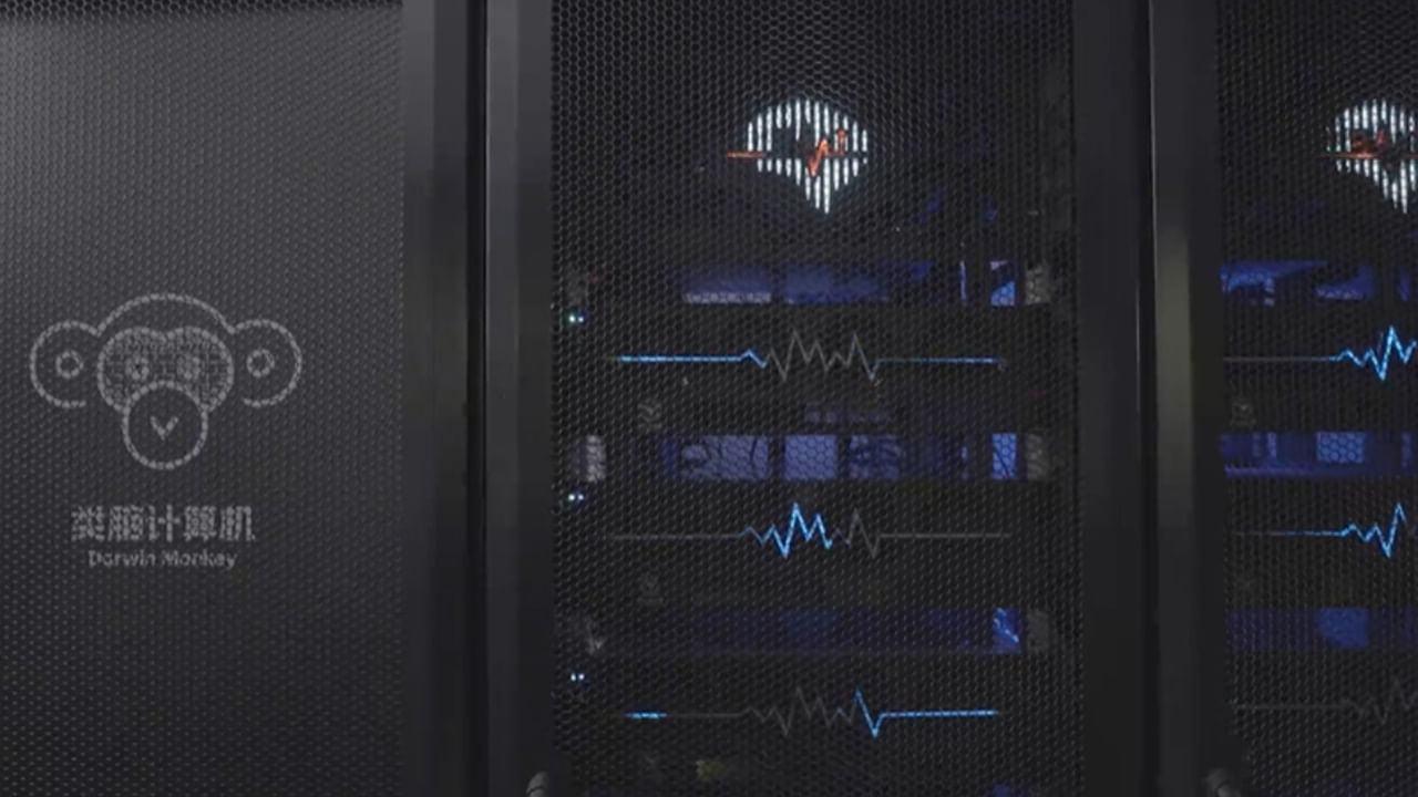 Darwin Monkey Computer