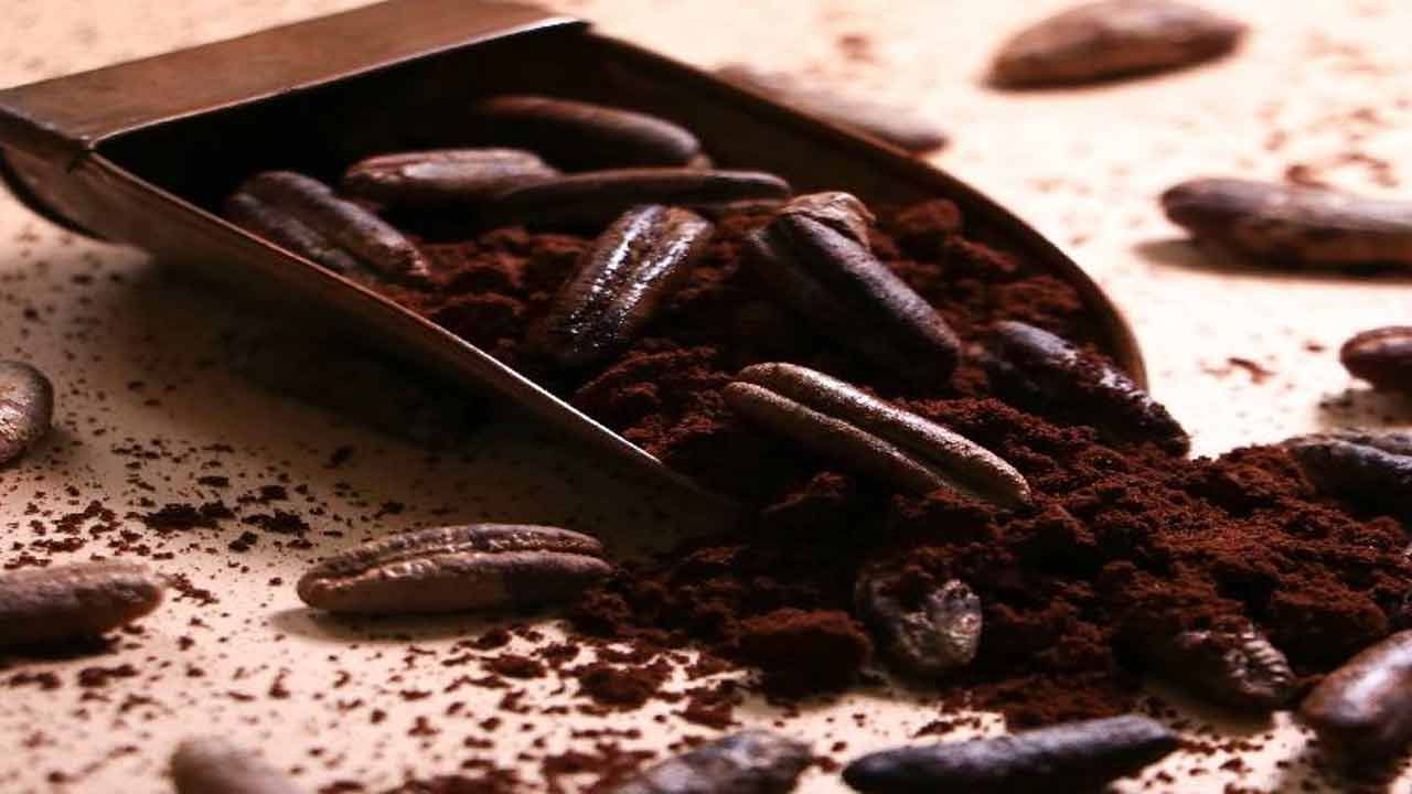 ఖర్జూర గింజలు కాల్షియం, భాస్వరంకు మంచి మూలం. ఇవి ఎముకలను బలోపేతం చేయడానికి సహాయపడతాయి. మూత్రపిండాలకు కూడా మేలు చేస్తాయి. ఎందుకంటే అవి శరీరం నుండి విషాన్ని బయటకు పంపడంలో సహాయపడతాయి.