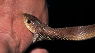 Gmail Tips: జీమెయిల్‌లో ఈ అద్భుత ఫీచర్స్ గురించి తెలుసా..? మీ పని ఇట్టే అయిపోతుంది..