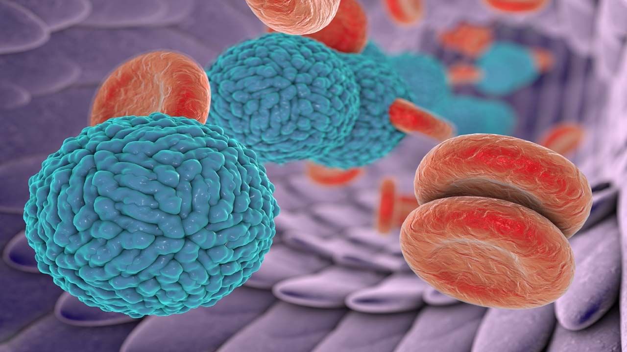 AIIMS బయోటెక్నాలజీ విభాగం లీడ్ సైంటిస్ట్ డాక్టర్ భూపేంద్ర వర్మ ప్రకారం, మన కణాల లోపల ఒక రకమైన టగ్ ఆఫ్ వార్ ఉంటుంది. డెంగ్యూ వైరస్ ఒక దిశలో లాగుతుంది. తద్వారా అది పెరుగుతుంది. మన శరీరం దానిని ఆపడానికి మరొక దిశలో లాగుతుంది. miR-133a వంటి శరీర రక్షకులకు మనం మద్దతు ఇస్తే, అది ఎక్కువ నష్టం కలిగించే ముందు వైరస్ను ఆపవచ్చు. అంటే, miR-133aని పెంచడం లేదా RBMXని ఆపడం నేర్పితే, డెంగ్యూ వైరస్ ను అరికట్టవచ్చంటున్నారు వైద్యులు.