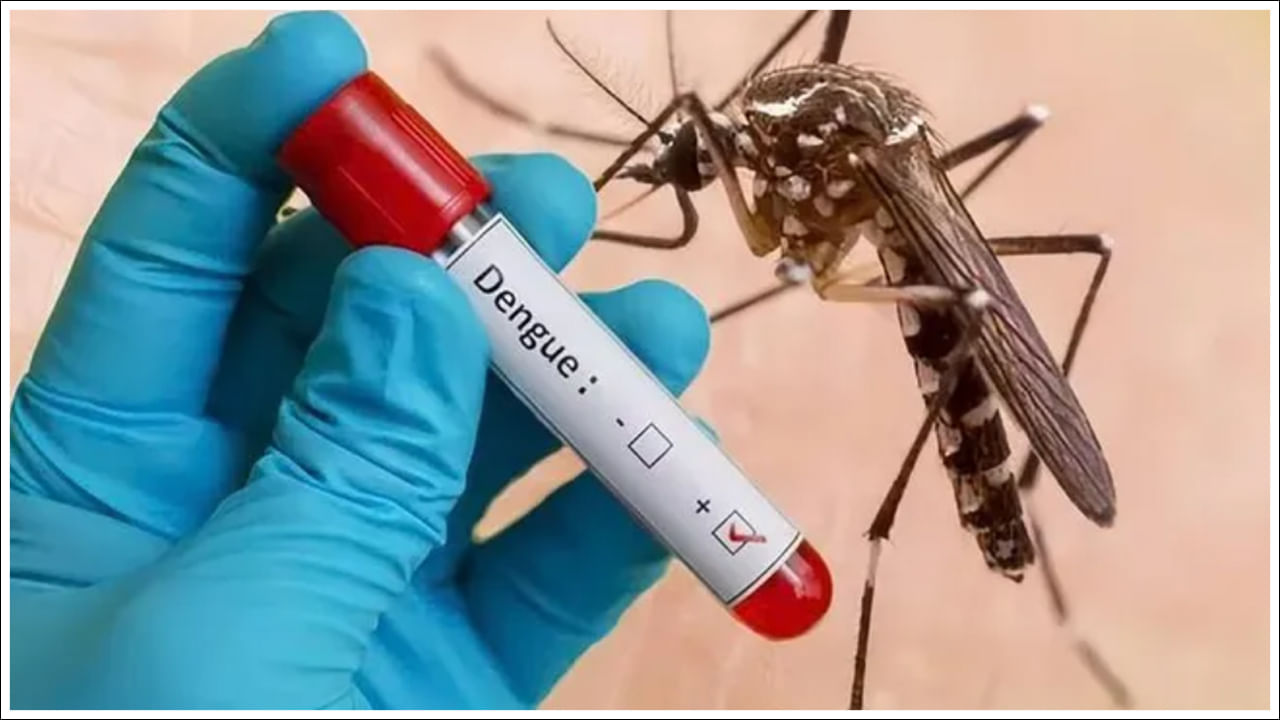 Dengue: యాడ దొరికిన సంతరా సామి.. డెంగీ వచ్చినవారిలో ఆ పార్ట్పై ఎఫెక్ట్