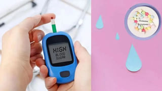 Health Tips: జామ ఆకులు తింటే ఏమవుతుందో తెలుసా..? తెలిస్తే అవాక్కే..