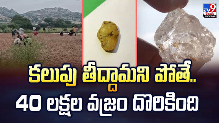 కలుపు తీద్దామని పొలానికి వెళ్తే.. లక్ష్మీ దేవి తలుపు తట్టింది కలుపు తీద్దామని పొలానికి వెళ్తే.. లక్ష్మీ దేవి తలుపు తట్టింది