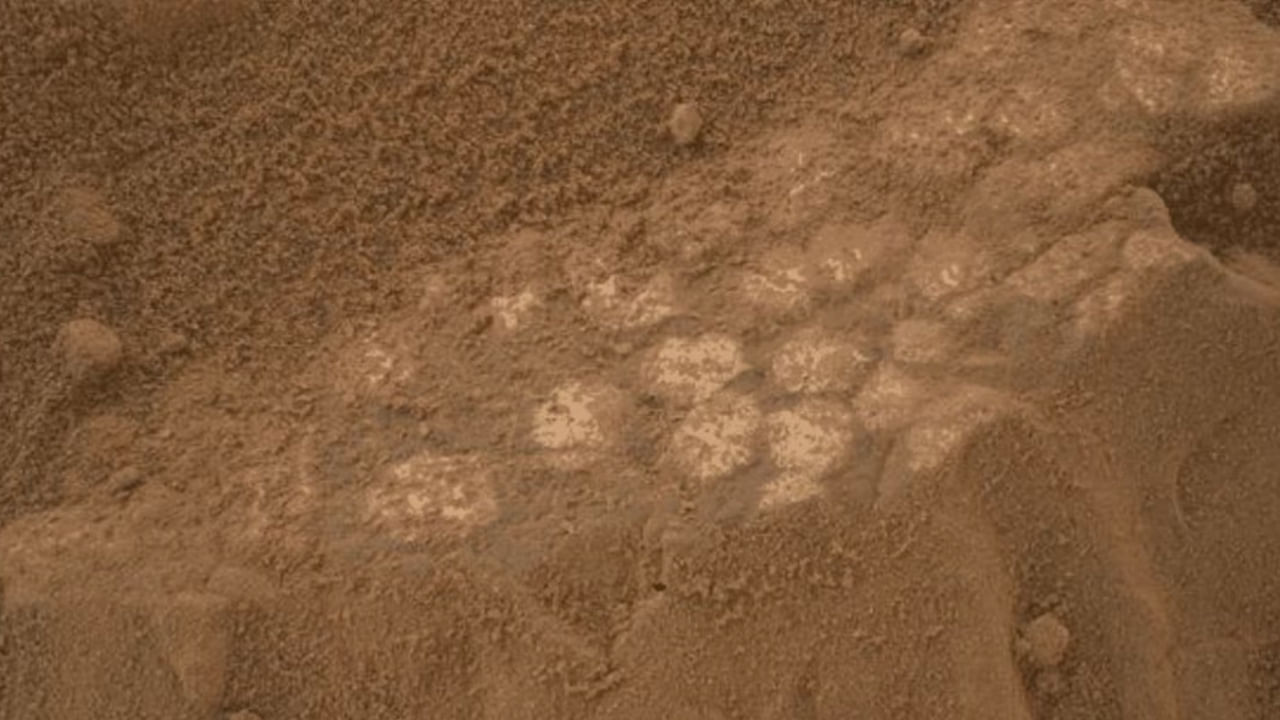 Dinosaur Eggs on Mars: అంగారక గ్రహంపై జీవులు ఉండేవా..! ఎర్ర గ్రహంపై వింత రాతి నిర్మాణం.. డైనోసార్ గుడ్లు..