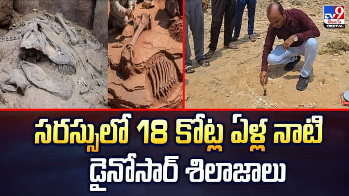 సరస్సులో 18 కోట్ల ఏళ్ల నాటి డైనోసార్ శిలాజాలు సరస్సులో 18 కోట్ల ఏళ్ల నాటి డైనోసార్ శిలాజాలు