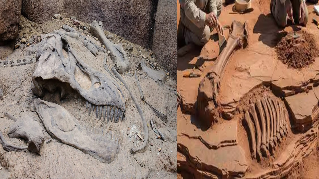 Rajasthan: జైసల్మేర్‌లో జురాసిక్ యుగం నాటి ఎగిరే డైనోసార్ శిలాజం లభ్యం.. రంగంలోకి GSI