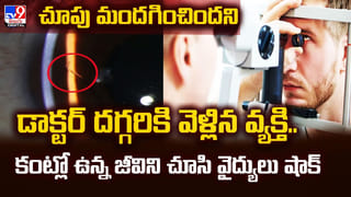 ఇది కదా తల్లి ప్రేమంటే.. వీడియో