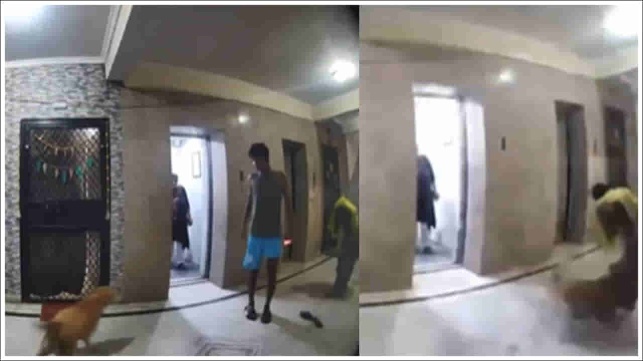 Viral Video: లిఫ్ట్‌ దగ్గర వేచి ఉన్న మహిళపై కుక్క ఎలా దాడి చేసిందో చూడండి.. వీడియో వైరల్‌!