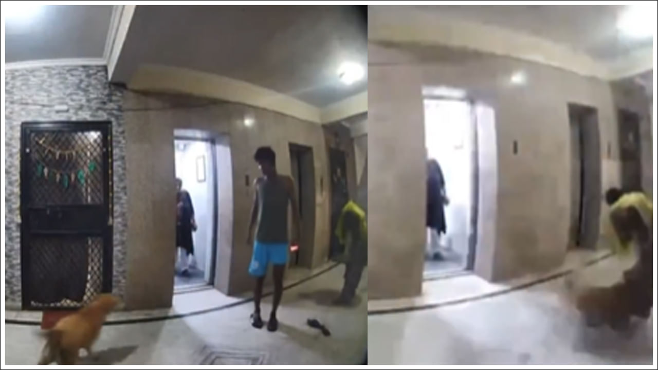 Viral Video: లిఫ్ట్‌ దగ్గర వేచి ఉన్న మహిళపై కుక్క ఎలా దాడి చేసిందో చూడండి.. వీడియో వైరల్‌!
