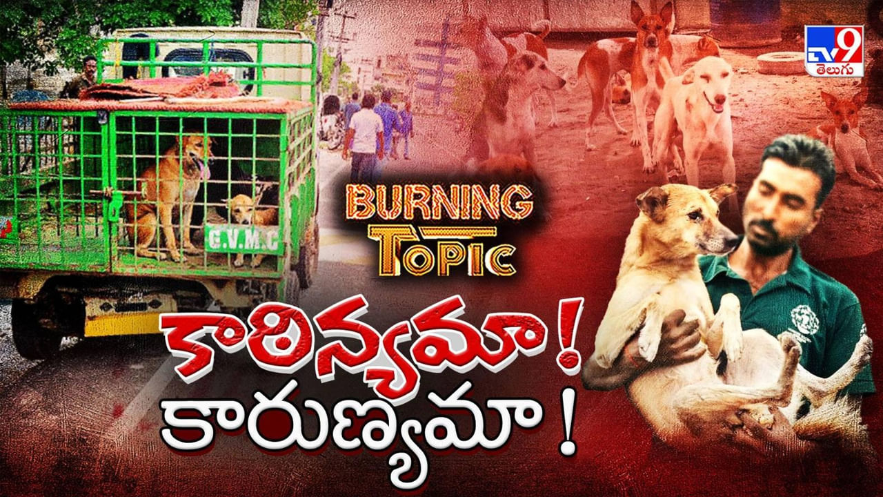 Dog Bite: కాఠిన్యమా! కారుణ్యమా! తెలుగు రాష్ట్రాల నిండా.. వీధికుక్కల బాధితులే!