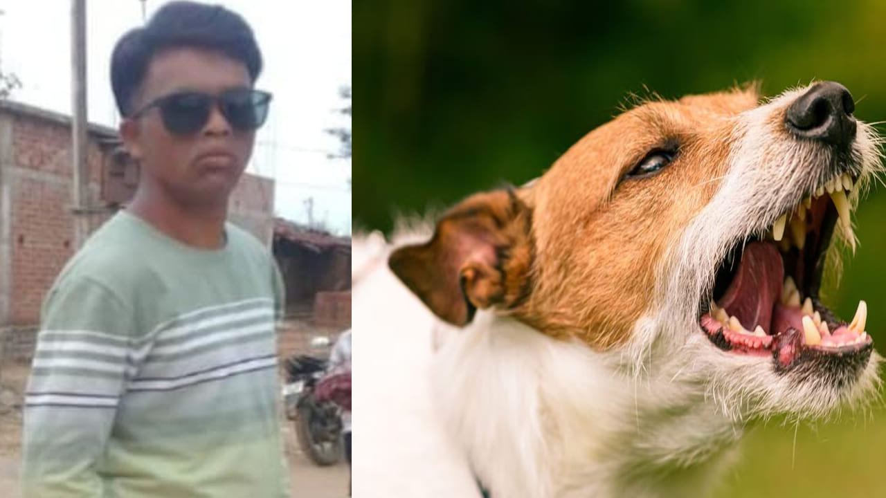 రెచ్చిపోయిన పిచ్చికుక్క.. దాడిలో పారా అథ్లెట్ సహా ఇద్దరు మృతి..