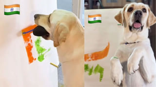 Viral News: బ్రహ్మంగారి కాల జ్ఞానంలో చెప్పింది ఇదేనా..! మనిషి ముఖంతో మేక పిల్ల జననం.. వింత చూసేందుకు ఎగబడిన జనం..