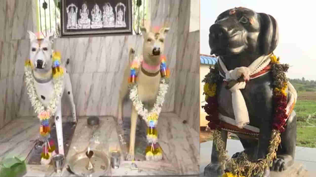 Dog Temples: మన దేశంలో కుక్కలకూ దేవాలయాలు.. దేవుళ్ళుగా పూజించే కుక్కల ఆలయాలు ఎక్కడ ఉన్నాయంటే...
