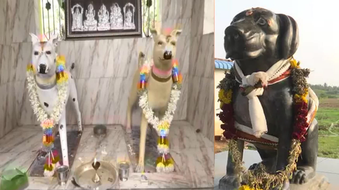 Dog Temples: మన దేశంలో కుక్కలకూ దేవాలయాలు.. దేవుళ్ళుగా పూజించే కుక్కల ఆలయాలు ఎక్కడ ఉన్నాయంటే...