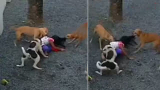 భాగస్వామి కోపంగా ఉన్నరా.. ఈ తప్పులు అస్సలే చేయకండి వీడియో!