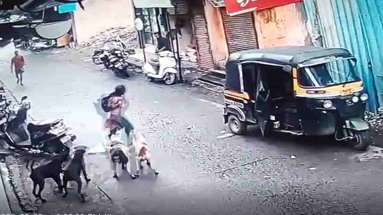 Dogs Attack: బయటకు వెళ్లాలంటేనే భయం భయం.. విద్యార్థినిపై కుక్కల గుంపు దాడి.. వీడియో చూస్తే..