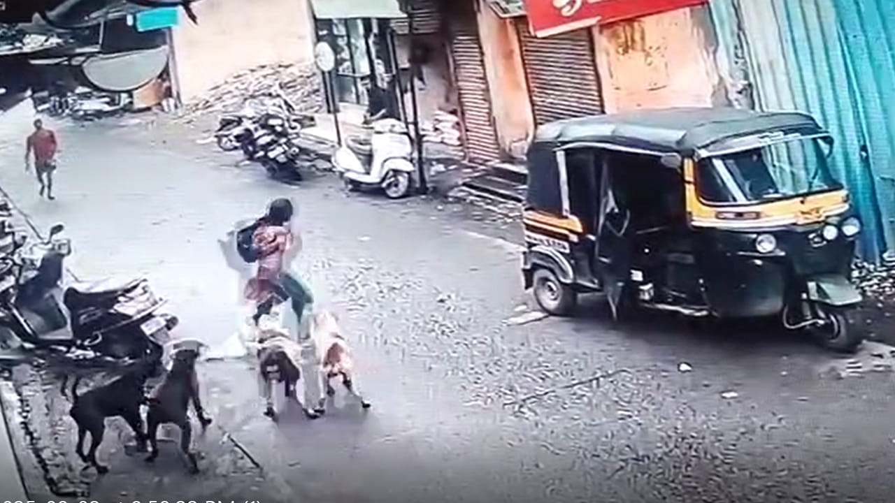Dogs Attack: బయటకు వెళ్లాలంటేనే భయం భయం.. విద్యార్థినిపై కుక్కల గుంపు దాడి.. వీడియో చూస్తే..