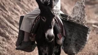 కొత్త ఆదాయపు పన్ను బిల్లు 2025లో ఏమి మారబోతుంది?  ఐటీఆర్ దాఖలుపై కీలక సూచనలు..!