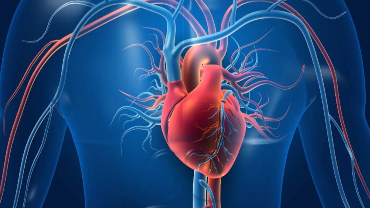 Heart Health: ఎక్సర్సైజ్ చేస్తున్నారా? ఈ 5 లక్షణాలు కనిపిస్తే అస్సలు నిర్లక్ష్యం చేయవద్దు!
