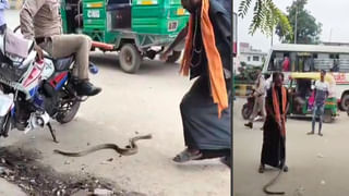 Watch: నీళ్లను చూడగానే అమాంతం ఎగిరిన గున్న ఏనుగు.. ఆ తర్వాత జరిగింది చూస్తే