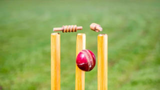 6,6,6,6,6,6,6,6,6,6,6.. 13 బంతుల్లో బీభత్సం.. 538 స్ట్రైక్‌రేట్‌తో చరిత్ర చూడని ఊచకోత