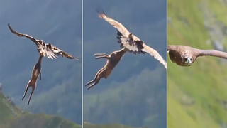 Viral Video: నీ టాలెంట్‌కో దండంరా బాబు… అబ్బాయి బెల్లీ డ్యాన్స్‌కు నెటిజన్స్‌ ఫిదా?…