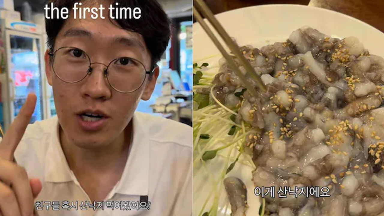 Video: తొలిసారి బతికున్న ఆక్టోపస్ను తిన్న కుర్రాడు..! ఆ తర్వాత ఏం జరిగిందంటే..?