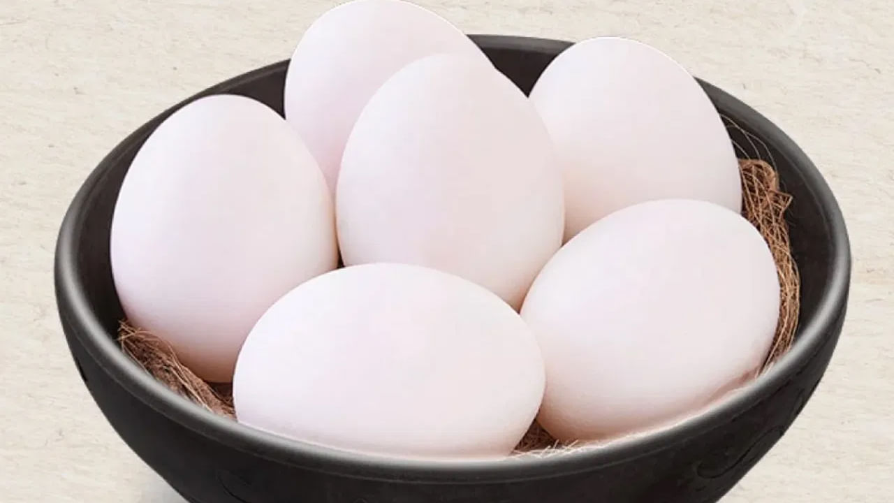 గుడ్డు శాఖాహారమా లేక మాంసాహారమా అనే సందేహం మాత్రం ప్రతి ఒక్కరిలో ఉంది. ఐతే సైన్స్‌లో శాకాహార ఆహారానికి నిర్ధిష్ట నిర్వచనం ఉంది. జంతు మాంసం లేని ఆహారాన్ని శాఖాహారం అని అంటారు. ఈ కోణంలో చూస్తే గుడ్డు శాఖాహారంగానే పరిగణించాలి. ఇలాంటి ఆహారం తీసుకునే వ్యక్తులను ఓవో-వెజిటేరియన్స్‌ అంటారు.