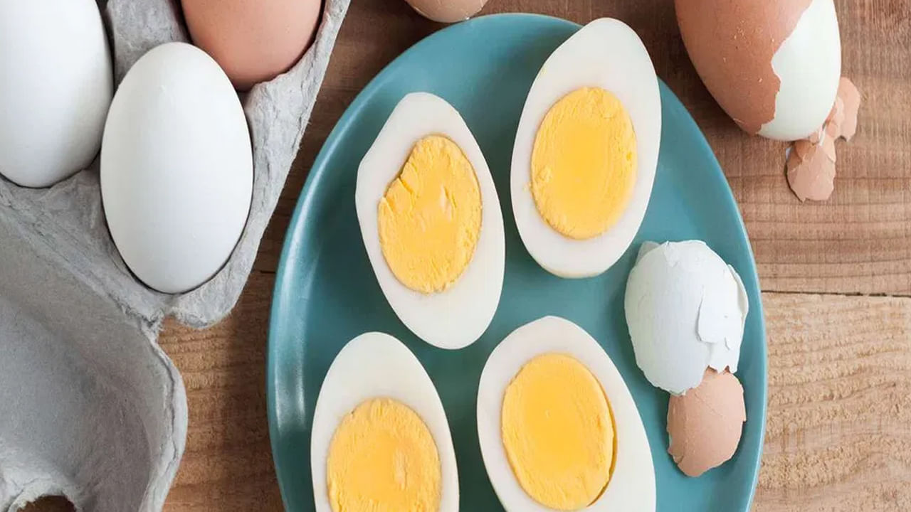 సైన్స్ కోణం నుంచి చూస్తే.. కోడి గుడ్డు పెట్టినంత మాత్రాన అది మాంసాహారం కాదు. జంతువుల నుంచి వచ్చే ప్రతిదీ మాంసాహారంగా పరిగణించకూడదు. దీనికి మరో మంచి ఉదాహరణ పాలు. గుడ్డు మాంసాహారమైతే మరి పాలు కూడా గేదెల నుంచి వస్తాయి కదా! అప్పుడు పాలను కూడా మాంసాహారంగానే పరిగణించాలి.