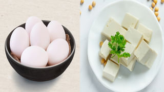 షుగర్ ఫ్రీ లైఫ్.. రోజువారీ జీవితంలో ఈ అలవాట్లతో డయాబెటిస్‌కు గుడ్ బై చెప్పండి..!