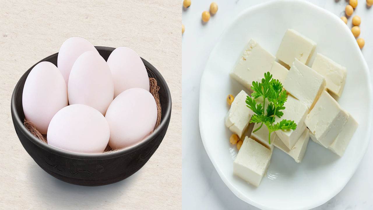 గుడ్డు vs పనీర్: దేనిలో ఎక్కువ ప్రోటీన్ ఉంటుంది?.. ఏది తినడం బెస్ట్?