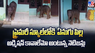 భారతీయుడ్ని పెళ్లాడా.. లైఫ్‌ ఎలా ఉందంటే.. బ్రెజిల్‌ యువతి పోస్ట్‌ వైరల్‌