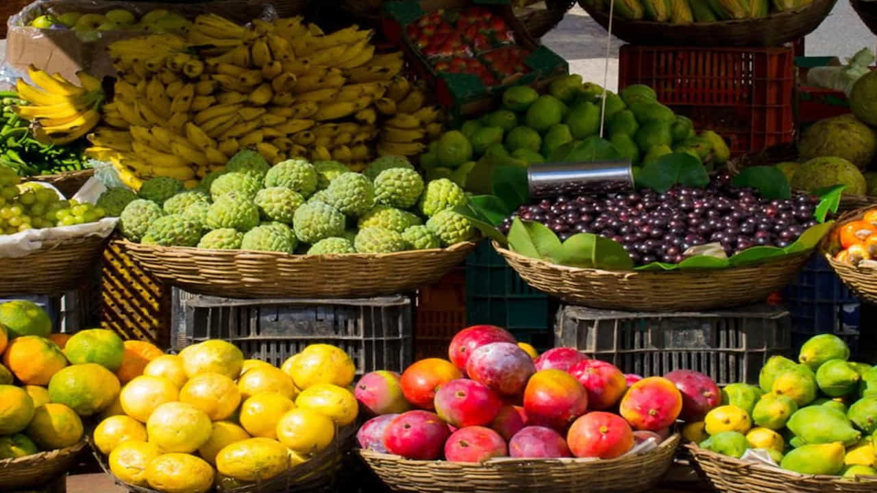Expensive Fruit: విలాసవంతమైన భోజనం గురించి ఆలోచించినప్పుడు మన దృష్టి తరచుగా హై-ఎండ్ రెస్టారెంట్లు, గౌర్మెట్ వంటకాల వైపు మళ్లుతుంది. అయితే ఖరీదైన ఆహార పదార్థాల ప్రపంచంలో ఈ పండ్లు కూడా ఉన్నాయి. కొన్ని పండ్లు చాలా ఖరీదైనవిగా ఉంటాయి. ప్రపంచంలో అత్యంత ఖరీదైన పండ్లు ఏమిటో తెలుసుకుందాం.