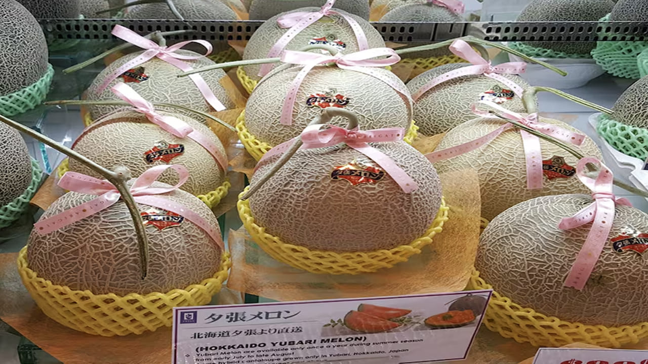 యుబారి కింగ్ మెలోన్: ఈ జాబితాలో అగ్రస్థానంలో జపాన్‌కు చెందిన యుబారి కింగ్ మెలోన్ ఉంది. దాని పరిపూర్ణ రూపానికి ప్రసిద్ధి చెందిన ఈ పుచ్చకాయను తరచుగా "సౌందర్య ఫలం" అని పిలుస్తారు. అలాగే రుచి పరంగా కూడా అద్భుతమైనది. జపాన్‌లోని హక్కైడో ద్వీపంలో పండించిన ఈ పుచ్చకాయ ప్రపంచంలోని అత్యంత ఖరీదైన పండ్లలో ఒకటి. 2008లో ఒక జత యుబారి కింగ్ పుచ్చకాయలు $30,000 (రూ. 24 లక్షలకు పైగా)కు అమ్ముడయ్యాయి. ఇది విలాసానికి చిహ్నంగా మారింది.