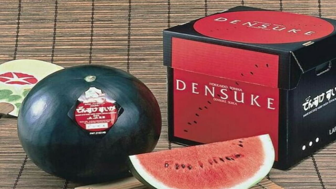 డెన్సుకే పుచ్చకాయ: జపాన్‌కు విలాసవంతమైన పండ్లంటే చాలా ఇష్టం. ఎందుకంటే మూడవ అత్యంత ఖరీదైన పండు కూడా ఈ ద్వీప దేశం నుండి వస్తుంది. హొక్కైడో ద్వీపంలో దొరికే ఈ భారీ పుచ్చకాయలు 11 కిలోల వరకు బరువు ఉంటాయి. 2008లో ఒక పుచ్చకాయ $6,100 (రూ.5 లక్షలకు పైగా) కు అమ్ముడైంది. దీనితో ఇది 'లగ్జరీ ఫుడ్ క్లబ్'లో భాగమైంది. వాటి అసాధారణమైన తీపికి వాటిని ప్రత్యేకంగా ఇష్టపడతారు.