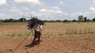 Andhra: తస్సాదియ్య.. ఈ పులస ఏంది సామి ఇంత ధర పలికింది..!