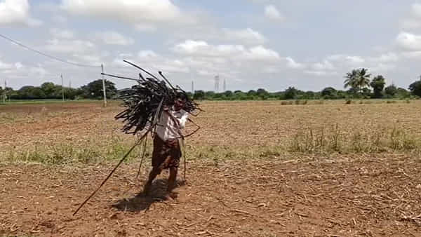 Andhra: దొంగను పట్టుకునేందుకు ఓ రైతు ఏం చేశాడంటే.... టెక్నలాజియా... టెక్నలాజియా