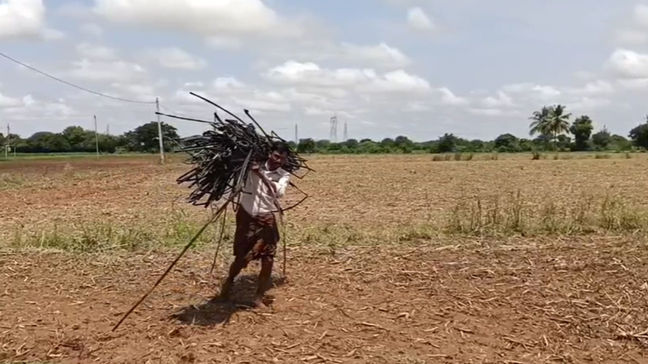 Andhra: దొంగను పట్టుకునేందుకు ఓ రైతు ఏం చేశాడంటే.... టెక్నలాజియా... టెక్నలాజియా