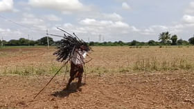దొంగను పట్టుకునేందుకు ఈ రైతు వేసిన ఐడియా అదుర్స్ అంతే... దొంగను పట్టుకునేందుకు ఈ రైతు వేసిన ఐడియా అదుర్స్ అంతే...