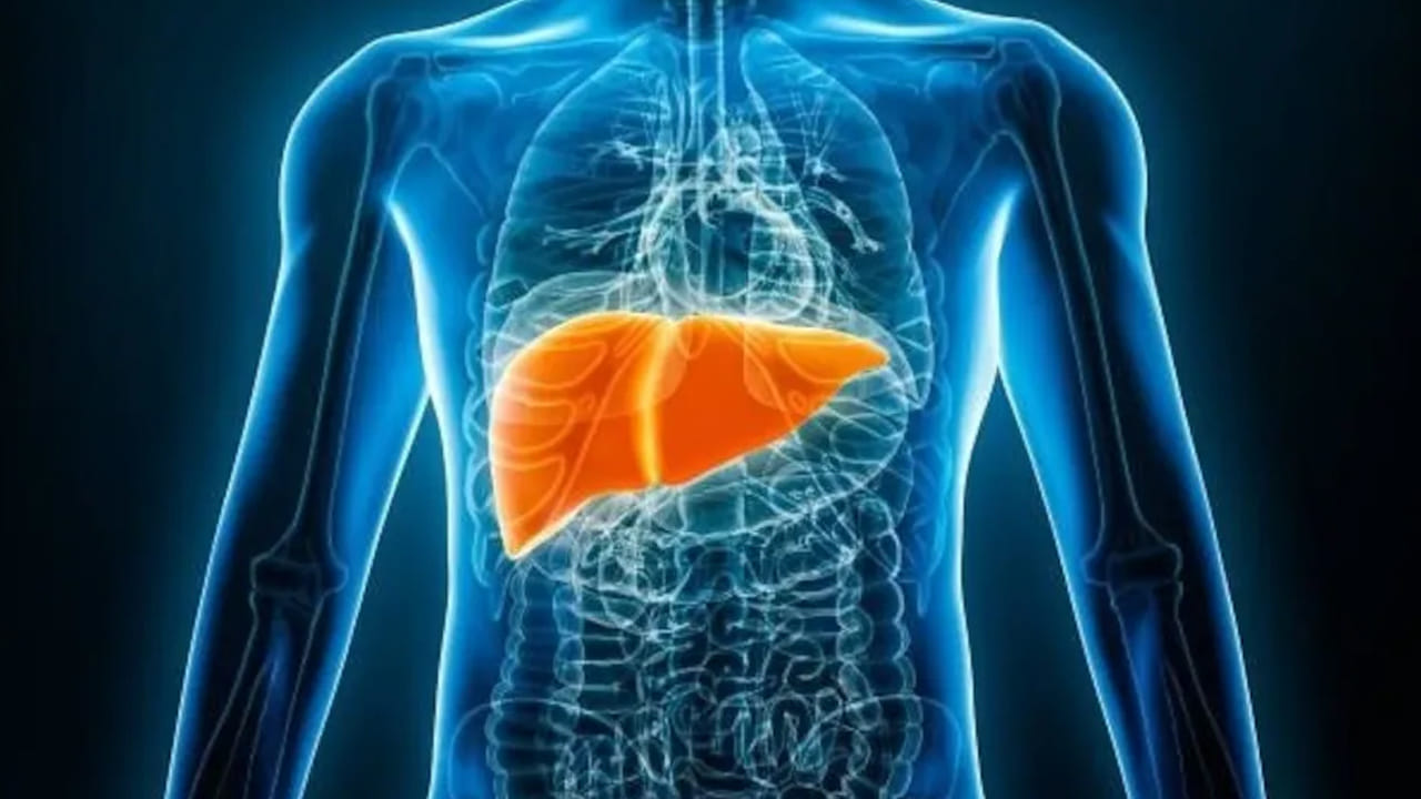 Health Tips: మీ కాలేయాన్ని సహజంగా శుభ్రం చేసుకోవాలనుకుంటున్నారా?.. అయితే వీటిని పాటిచండి!