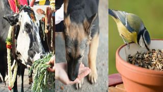 Tirumala: సెప్టెంబర్ 24 నుంచి శ్రీవారి బ్రహ్మోత్సవాలు ప్రారంభం.. మొదటి రోజే సీఎం స్వామివారికి పట్టువస్త్రాలు సమర్పణ