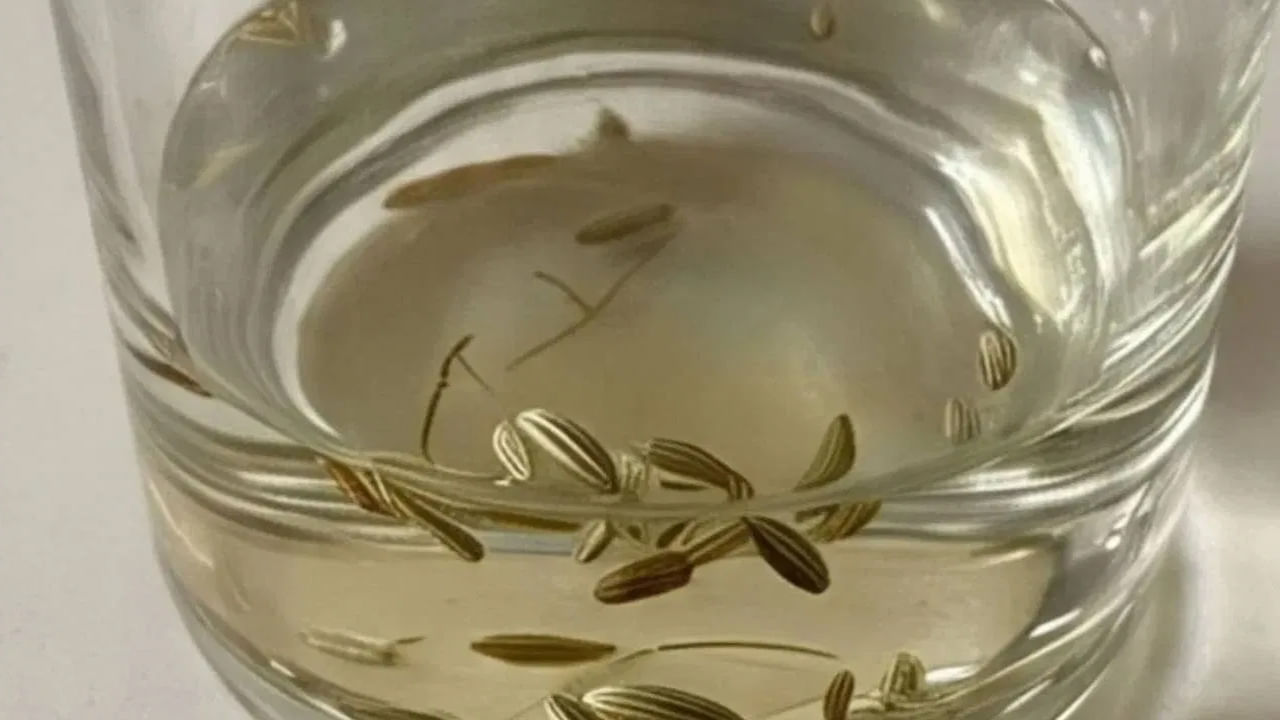 సోంపు తినడం వల్ల జీర్ణక్రియ మెరుగుపడుతుంది. కొంత మంది రాత్రంతా నీళ్లలో నానబెట్టిన సోంపు నీటిని తయారుచేసి ఉదయాన్నే ఖాళీ కడుపుతో తాగుతుంటారు. ఇలా సోంపు గింజనలు నానబెట్టి తాగడం వల్ల ఆరోగ్యానికి మరింత ప్రయోజనకరంగా ఉంటుందని భావిస్తుంటారు. ఇందులో నిజమెంతో ఇక్కడ తెలుసుకుందాం.. 