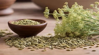 ఉదయాన్నే ఖాళీ కడుపుతో పెరుగన్నం తినే అలవాటు మీకూ ఉందా?