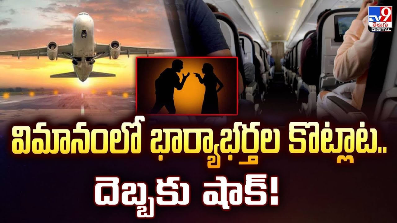 విమానంలో భార్యాభర్తల కొట్లాట.. దెబ్బకు షాక్!