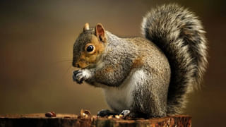 Telangana: వంకర బుద్ధిని మానుకోని ఎస్సై.. తిక్క కుదుర్చిన ఉన్నతాధికారులు..!