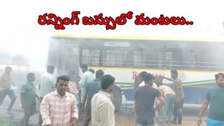 Andhra: మనుషుల్ని సైతం మింగేసే భారీ ఫైథాన్‌ను ఎప్పుడైనా చూశారా..? ధైర్యముంటేనే వీడియో చూడండి..