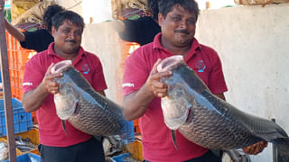 గుడ్‌ న్యూస్‌.. త్వరలో భారత్‌లో ఓపెన్‌ ఏఐ తొలి ఆఫీస్‌