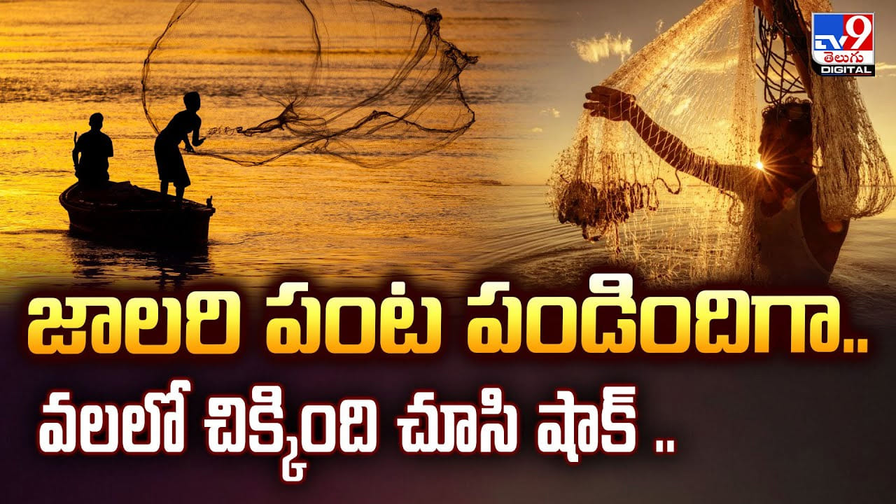 జాలరి పంట పండిందిగా.. వలలో చిక్కింది చూసి షాక్